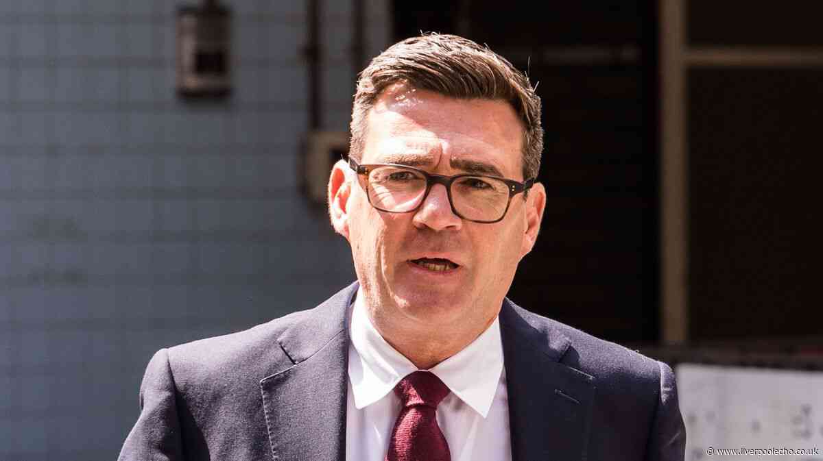 Andy Burnham confirmed as Labour leader and will now become Prime Minister