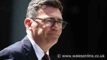 Andy Burnham named new Labour leader as he vows to 'give people hope back'
