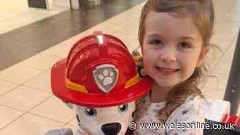 Family tribute to 'special angel' who helped take girl to hospital after crash