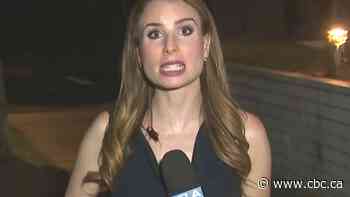 NOPE. Giant cockroach crashes reporter’s live news report | The Moment
