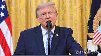 China dismisses ‘groundless’ Trump election interference claim