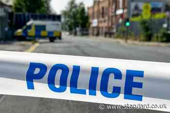 Driver in crash which killed pedestrian was in mental health crisis, court told