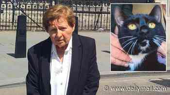 Award-winning solicitor, 79, sues RSPCA and police for chopping down her front door to 'rescue' disabled cat named Rita