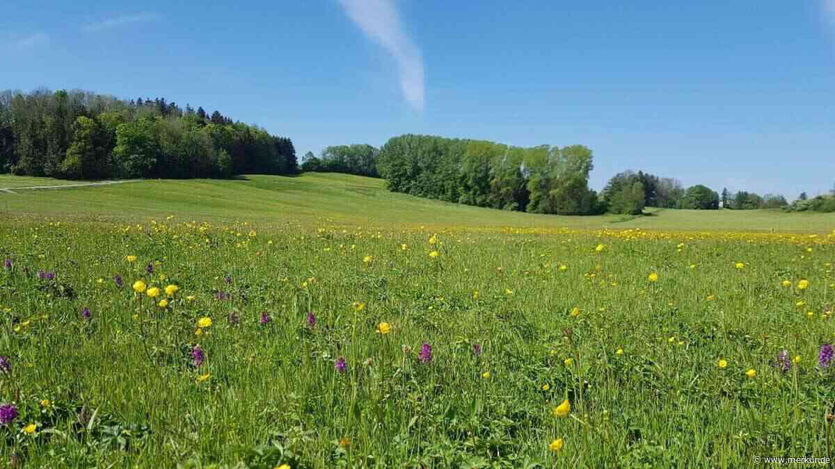 Lebensräume im Fokus: Biotope werden als Naturschätze kartografiert