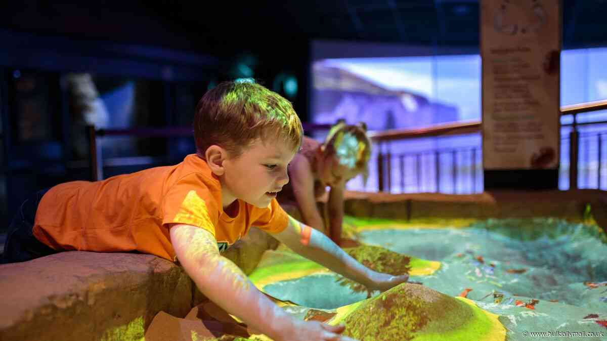 Things to do with the kids in Hull and East Yorkshire during the summer break