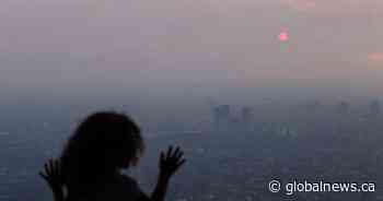 Wildfire smoke could impact your brain health. Here’s how