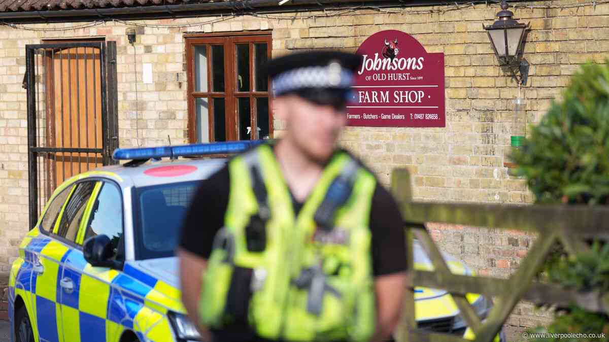 Parents didn't think boy, 3, 'was going to make it' after being injured in crocodile enclosure