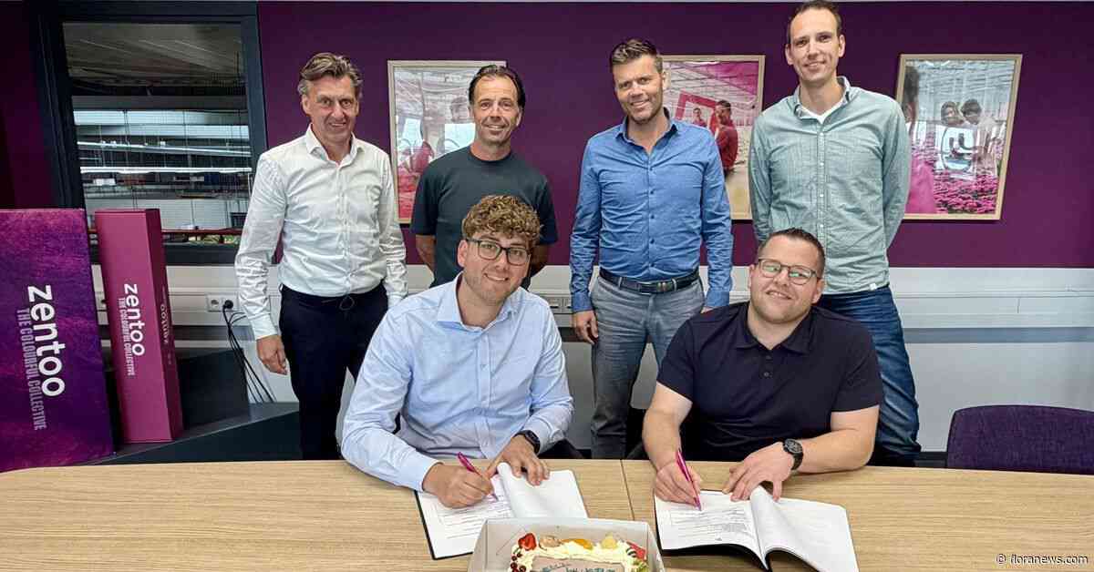 Zentoo investeert in gerobotiseerde verpakkingslijnen