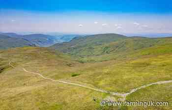 Rare 428-acre Lake District grazing fell listed for £600,000