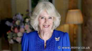 Queen Camilla marks 79th birthday with new portrait and thoughtful present