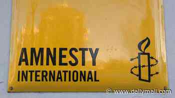 Amnesty International UK boss urged to consider resigning after charity suggests 'gender-critical' feminists are threat to human rights in second report