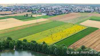 Neues Ausflugsziel vor den Toren Münchens: Das Blüten-Labyrinth im Sonnenblumen-Meer