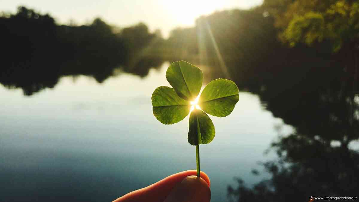 “Dopo la morte di mio padre ho trovato sempre un quadrifoglio al giorno, sono a oltre 1.091 giorni consecutivi, c’era una possibilità su 10 mila che accadesse. Questo miracolo per me è un segno”: la storia di Walter Jenkins Jr