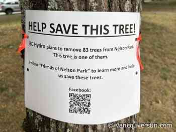 'On death row': West End residents fight Hydro's $1 billion plan for Nelson Park trees, school site