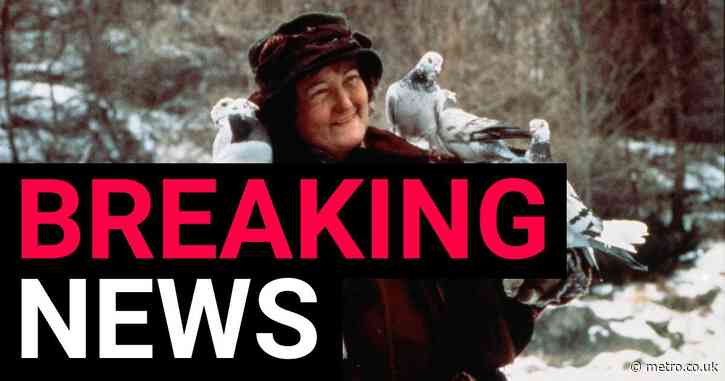 Oscar-winner Brenda Fricker who played Home Alone 2’s Pigeon Lady dies aged 81
