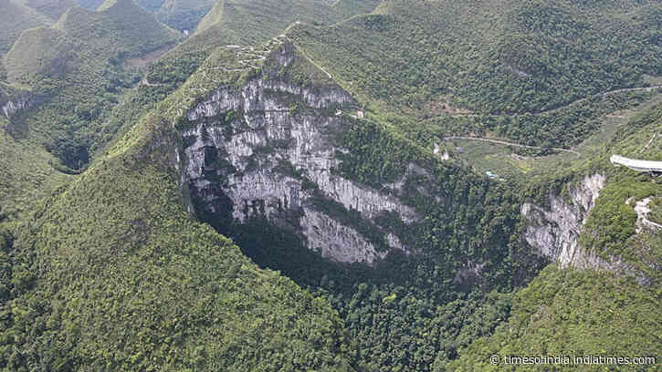 China’s giant sinkholes are protecting an endangered tree, but they may also be trapping its future