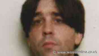 Man who wore Scream mask in samurai sword murder has died in jail
