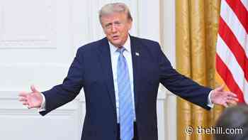 Live updates: Trump alleges compromised US elections in push for voter ID law