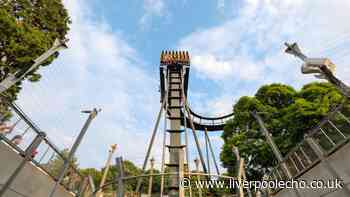 Alton Towers slashes day pass to £29pp in summer deal