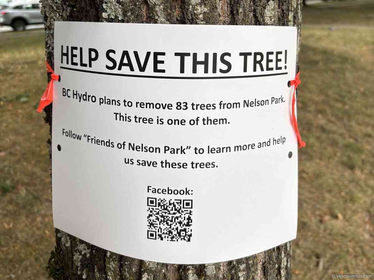 'On death row': West End residents fight Hydro's $1 billion plan for Nelson Park trees, school site