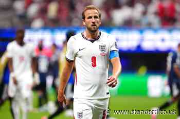 Fact check: Dogs in hot cars and fake Harry Kane quote
