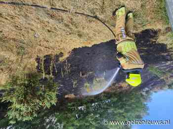 Middelbrand in berm verwoest riet en gras