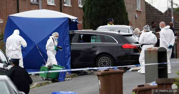 Driver, 60, faces life sentence for mowing down boy, 15, on a stolen e-bike
