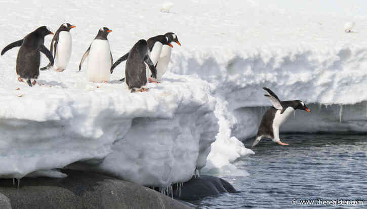 Torvalds challenged the haters to fork Linux. Someone said 'hold my beer'