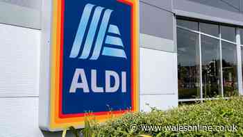 Aldi to open 40 new stores and recruit 450 new staff this year