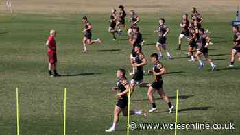 Gwyn Jones: Steve Tandy still doesn't know his best Wales team and that's a problem