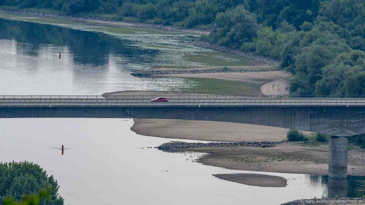 Dürre an der Donau: So steht es um den Wasserpegel in Schwaben
