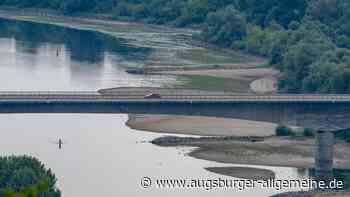 Dürre an der Donau: So steht es um den Wasserpegel in Schwaben