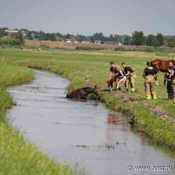 112 Nieuws: Brandweer redt paard uit sloot bij Reeve | Fatbiker botst op auto in Hengelo