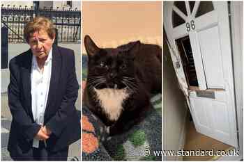 Top ex-lawyer, 79, sues Met Police and RSPCA after door 'chopped down with axe' at London home to seize cat