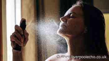 Skin looks 'glowing' with new 'soybean' £3 Home Bargains spray - was £12.99
