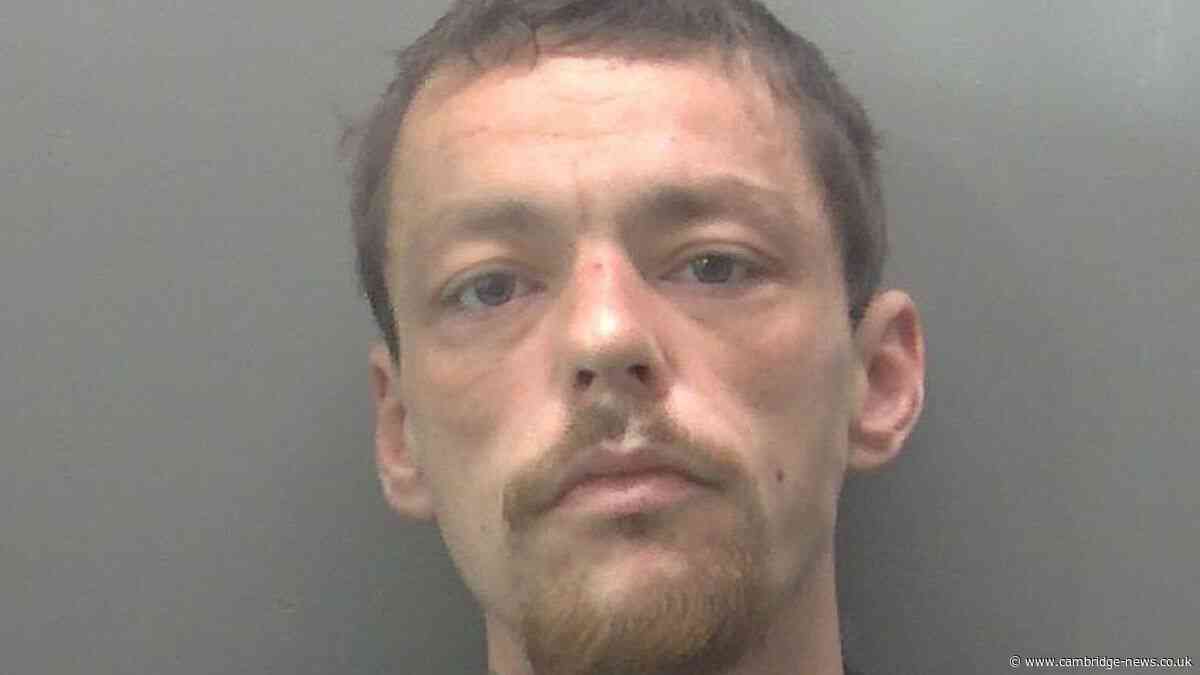 Man killed 'selfless' stranger with one punch in 'cowardly attack'