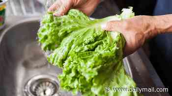 Lettuce grower Taylor Farms reportedly to recall ingredients linked to 'diarrhea parasite' outbreak
