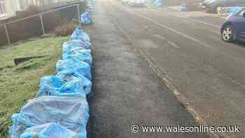 Carmarthenshire bin changes as recycling set to go from one bag to five