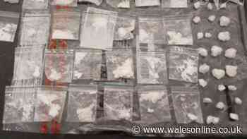 Police raid homes during the night to bring gang to justice
