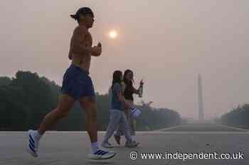 It’s not just your lungs that can be impacted by the Canadian wildfire smoke