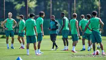 Hoch attackieren und früh stressen: Werder-Trainer Thioune will keinen lauen Test in Verden