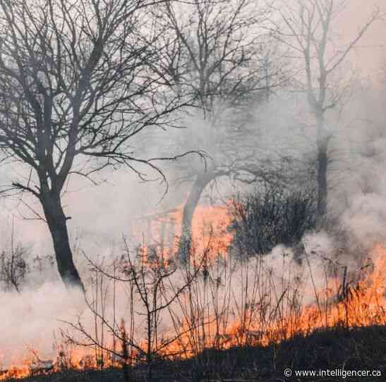 Wildfire smoke forecast to hamper Quinte into the weekend and beyond