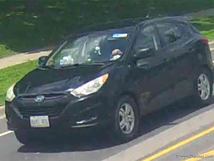 Kingston Police seek driver after cyclist struck in hit-and-run