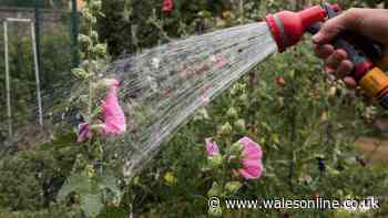'Reduce my water bill' say critics as parts of Wales face hosepipe ban