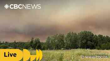 Ontarians react to province's response to ongoing wildfires
