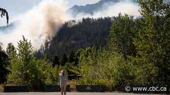 Number of wildfires more than doubles after lightning strikes across B.C.
