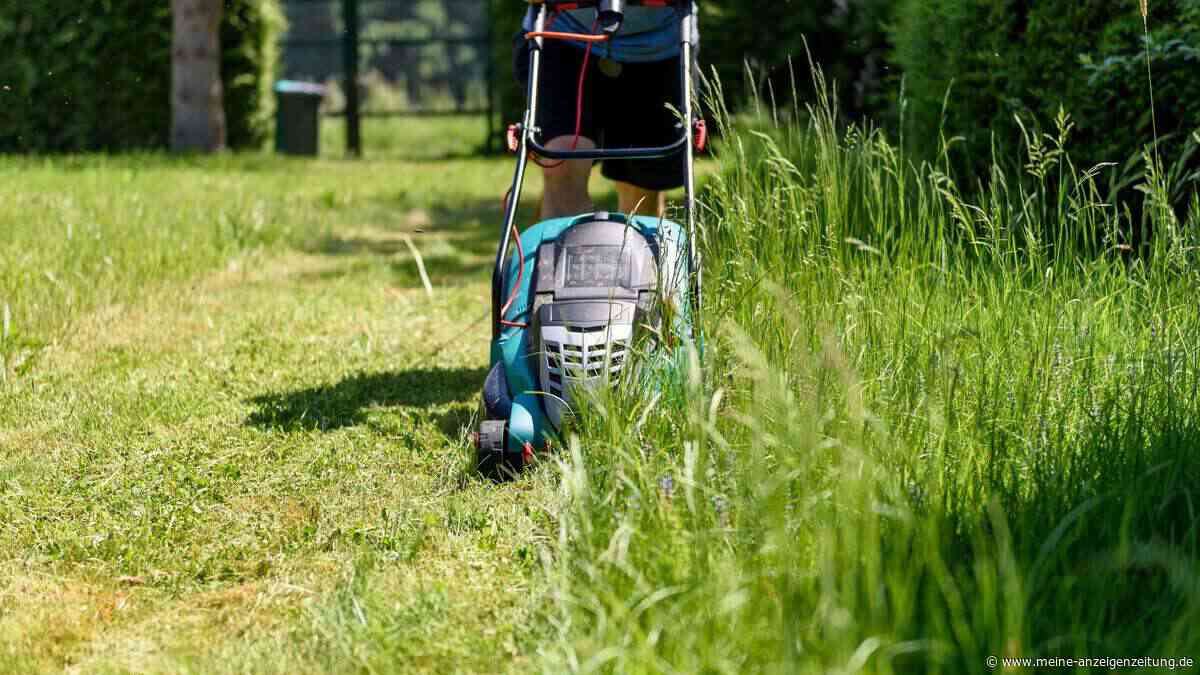 Das passiert, wenn Sie Ihre Rasenschnitthöhe im Sommer nie ändern