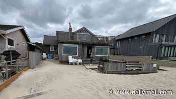 Distraught family say their historic $1.4m oceanside cabin is at risk of being swallowed by SAND after Oregon lawmakers suddenly banned them from clearing it away