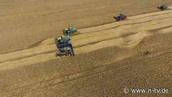 "Alles steht still": Russlands Landwirte kämpfen mit Treibstoffkrise