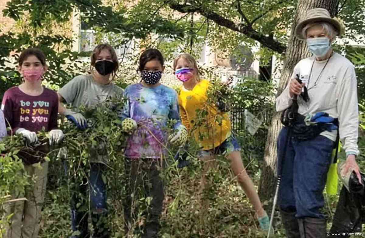 Arlington vs. invasive plants: Commission seeks $1M per year for ongoing battle